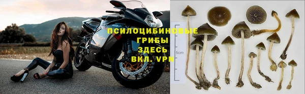 экстази Абаза