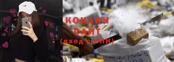 стаф Абинск