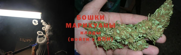 ПСИЛОЦИБИНОВЫЕ ГРИБЫ Покров